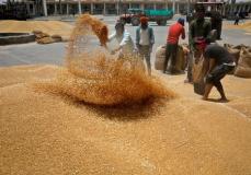 世界食料価格、2月は前月比で7カ月連続下落　穀物下落が寄与