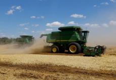ハンガリー、9月15日以降のウクライナ産穀物輸入禁止を示唆