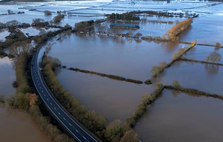 英、記録的な冬期豪雨で主要穀物の自給率低下＝シンクタンク