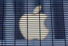 アップルの追跡ツールは違反、欧州プライバシー団体が申し立て