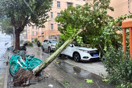 台風13号が中国上海直撃、1949年以来最強　航空便欠航や列車停止