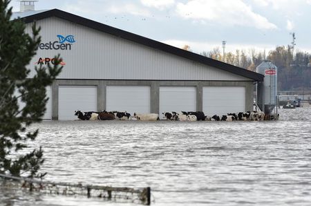 カナダ西部の洪水・土砂崩れで1人死亡、国内最大港の鉄道輸送停止