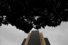 ブラジル中銀、50ｂｐ利下げ　コロナ対応へ「引き続き措置講じる」