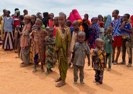 ＥＵ、ソマリア食糧支援の資金提供を一時停止　国連調査報告受け