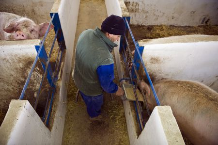 中国のＥＵ産豚肉調査、スペインなど3社対象　ＥＶ関税に対抗