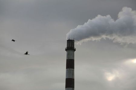 世界の二酸化炭素排出量、コロナ封鎖で今年は最大7％減も＝研究