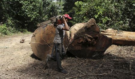 アングル：気候変動と農地拡大、アマゾン地域に迫る「二重の危機」