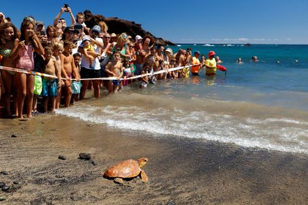 公海の生物多様性保護協定、67カ国が批准受付署名　発効へ一歩