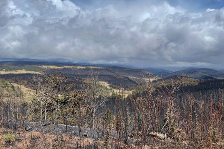バイデン氏、ニューメキシコ州の森林火災を大規模災害に指定