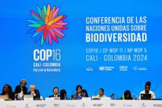 生物多様性ＣＯＰ１６開幕、自然保護に向けた資金確保が焦点