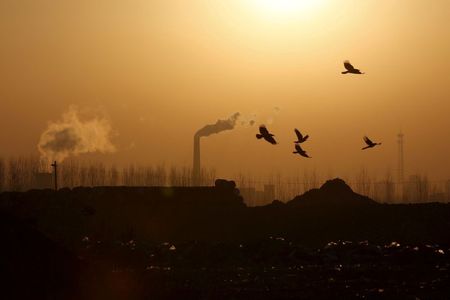 第1四半期の中国ＣＯ２排出、コロナ前を9％上回る　石炭消費拡大