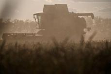 ロシア、アフリカ6カ国に穀物20万トン無償提供　プーチン氏が昨年表明