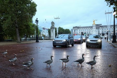 英国、デジタル運転免許証を今年導入