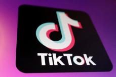 サウジ王子の投資会社、ＴｉｋＴｏｋ出資も　マスク氏が買収なら