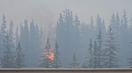 カナダ西部で広範囲の山火事、国立公園などから2.5万人避難