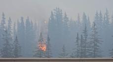 カナダ西部で広範囲の山火事、国立公園などから2.5万人避難