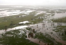 アングル：頻発する気象災害、保険枯渇と融資リスクの懸念も