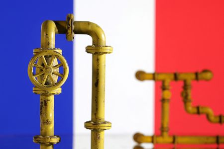 フランスのガス貯蔵施設、11月1日までに満タンに＝規制当局