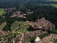 世界の森林破壊阻止、30年までの目標達成に大きな遅れ＝報告書