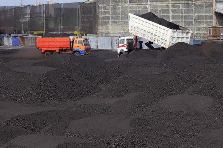世界の石炭需要、24─25年は横ばいに　電力需要が増加＝ＩＥＡ