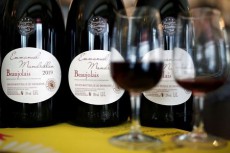 欧州ワイン生産者の収入、半減も　新型コロナで都市封鎖響く