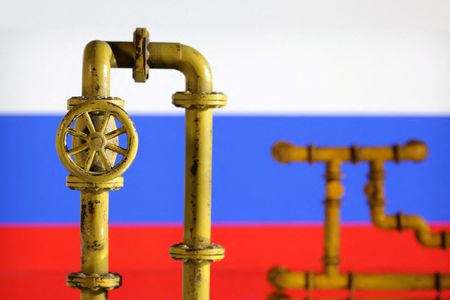 ロシア、24─26年の天然ガス輸出価格予想を下方修正