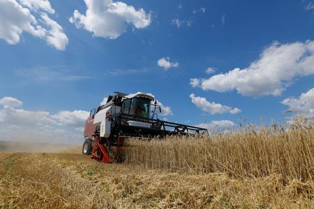 9月のウクライナ穀物輸出は半減、黒海封鎖とロシア軍攻撃で
