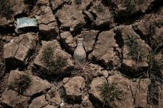 インド、水不足の深刻化が格付け圧迫する可能性＝ムーディーズ