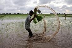 インド、10月から最低賃金引き上げ　建設や農業部門対象