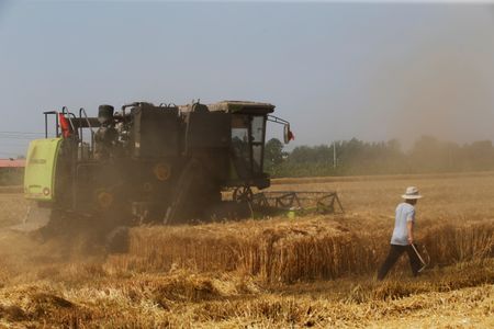 中国、食料安全保障で農業への財政支援強化へ