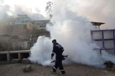 ペルーで公衆衛生上の非常事態宣言、デング熱感染が拡大