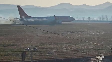 韓国機事故、専門家は鳥衝突が原因との見方を疑問視