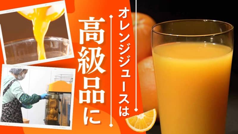 オレンジジュースは高級品に？海外産地で不作＆円安の直撃国産みかんにシフトするも…