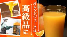 オレンジジュースは高級品に？海外産地で不作＆円安の直撃国産みかんにシフトするも…