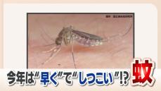 すでに活発化した今年の「蚊」　専門家は「早くて多くてしつこい」　刺されないポイント　除菌シートなどで足を拭くと効果的