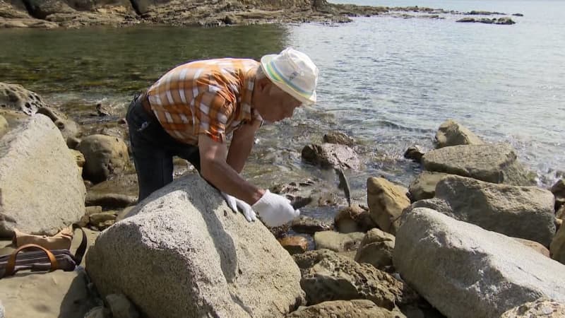 「ズバリ恐竜の化石を見つけてみたい」８４歳の現役化石ハンター　これまで発見した化石は約１，０００点