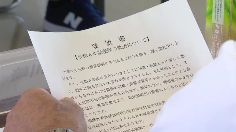 春の日照不足で麦が不作　「麦を作る人、いなくなってしまう」