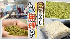 「やっぱお値段かな」安さが売りの”もやし”がピンチ　生産者２３５社→９３社に激減　影響は学校給食にも