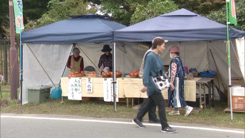 246本のハゼ並木が紅葉　柳坂ハゼ祭り