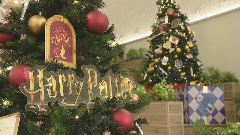 魔法魔術学校へようこそ「ハリー・ポッター　ホグワーツのクリスマス」