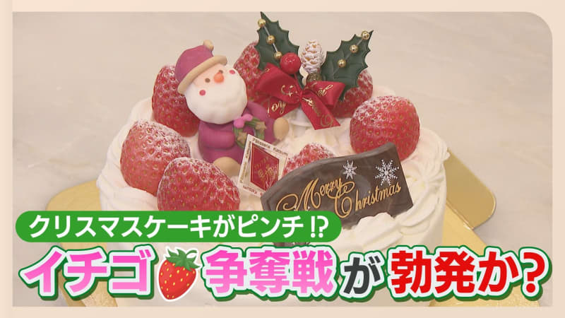 クリスマスケーキにも値上げの波…原材料費が高騰「イチゴは奪い合いに」猛暑で生育に異変が