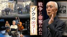 戦時中に殺害されたゾウ「きょうだいのように育った」少年が目撃した動物園での悲劇
