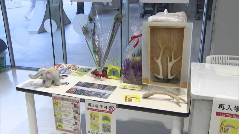 特賞は「金鯱サボテン」「ツシマジカの角」　今年１年の運勢を占う「どうぶつおみくじ」　福岡市動物園