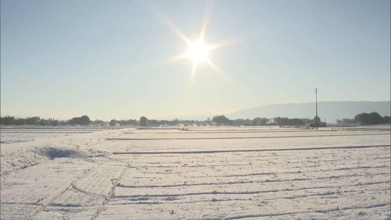 平地でも積雪　路線バスが運転見合わせ　スリップ事故は100件以上　小中学校が臨時休校も　福岡県