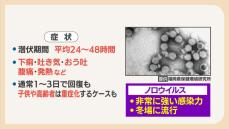 ノロウイルス集団感染あいつぐ　佐賀県では宅配弁当を食べた１３人に食中毒の症状　家族が感染したら注意すべきこと