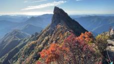 西日本最高峰「石鎚山」山頂で紅葉が見ごろ 先週の冷え込みで一気に色づき