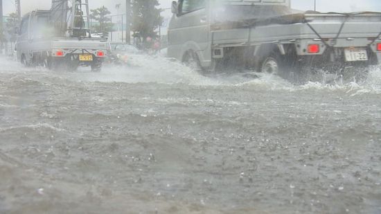 大雨から一夜　松山市内で後片付け