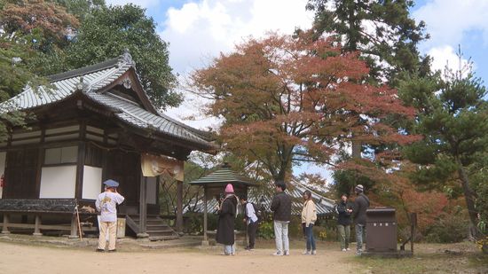 紅葉の名所「西山興隆寺」イロハモミジの色づきは？