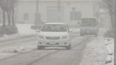 今シーズン“最強寒波” 久万高原町は一面の銀世界…雪かきに追われる あすも路面凍結に注意を