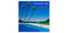 42年の時を経て正統派シティポップ、PRESENTS『FEELING LIKE A CHILD』発売